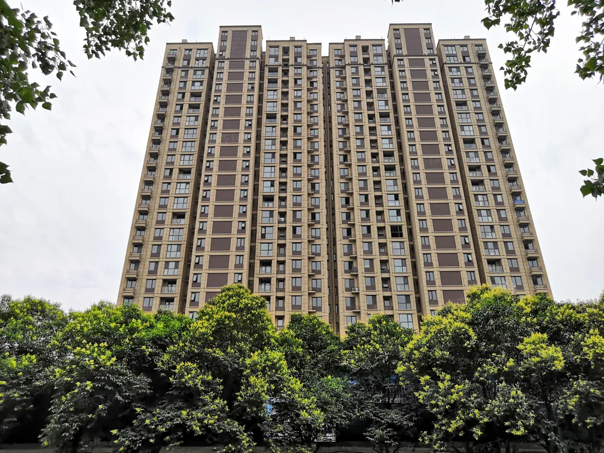 建业花园里