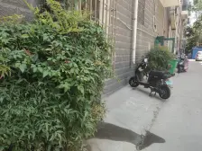 多层带电梯双阳台 户型好采光好 价格低 满五年费用低