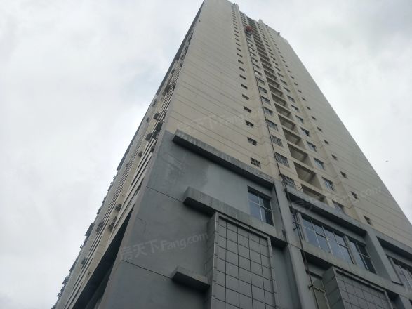 天立TT国际实景图