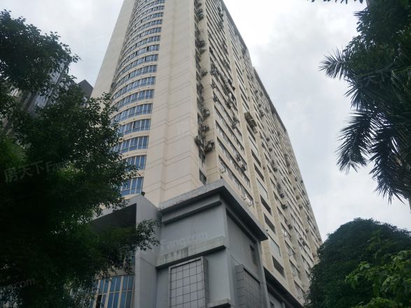 天立TT国际实景图