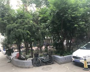 西城区椿树馆全南向二居室业主诚售1996年建成