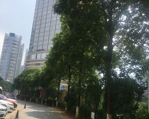 因急需资金周转,房东诚心卖房,价格实惠,地理位子好