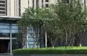 万科翡翠公园实景图