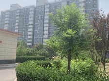 太阳宫·太阳星城土星园·2室·2厅