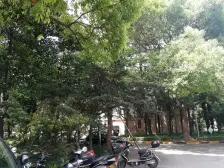 全明户型,电梯两室户,婚房居家装修 干净可拎包入住