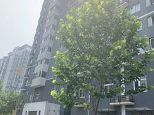 太阳星城土星园·西南向三居室业主诚意