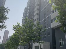 2019年精装修满五唯一客厅面宽宽安静不临街