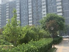 圣馨家园1室1厅东北