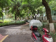 石坪桥 金桥彼岸(桃景阁)二房49.5万