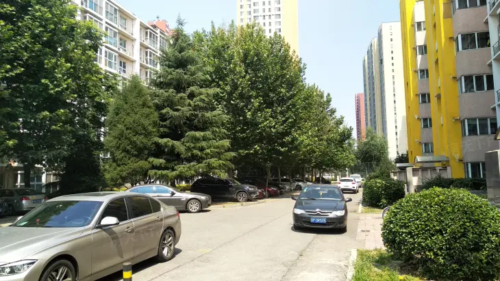 中芯花园实景图