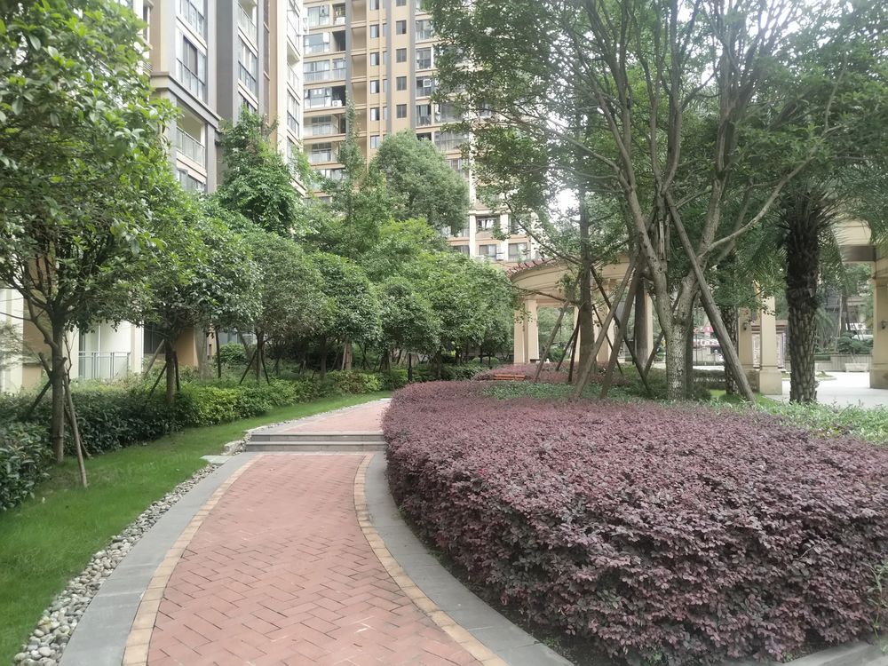小区相关图