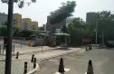 中芯花园实景图