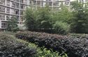 昆明傲城实景图
