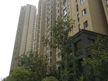 枫林一楼大院,装修,集中供暖。