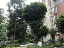 花园洋房业主诚意出售价格可刀