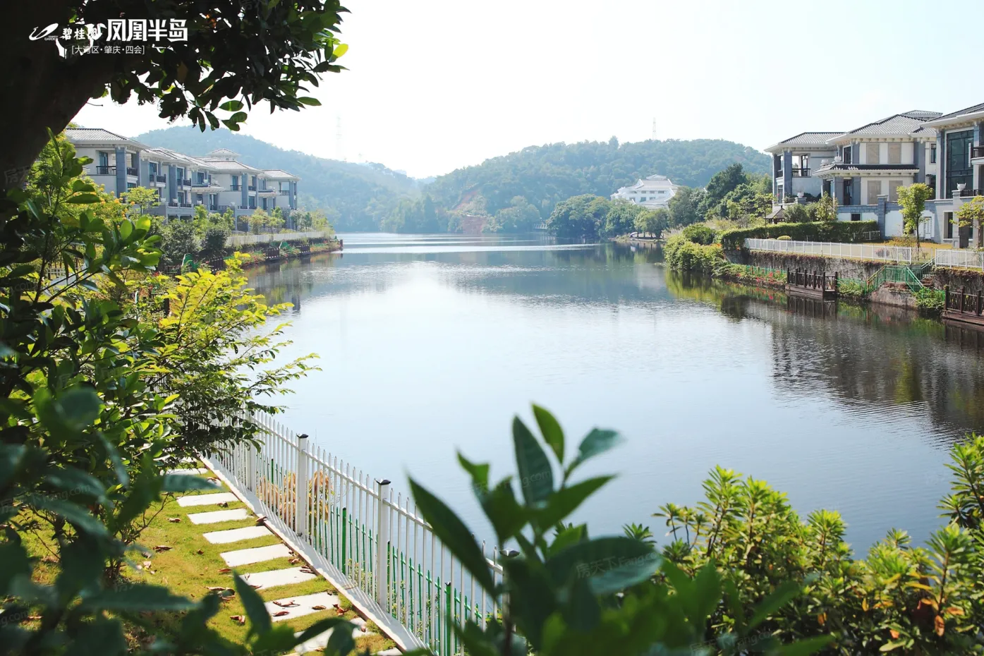 【肇庆碧桂园·凤凰半岛小区,二手房,租房】- 肇庆房天下