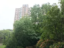 南大板块,近中环,带产权车位,次新小区,地铁15号线