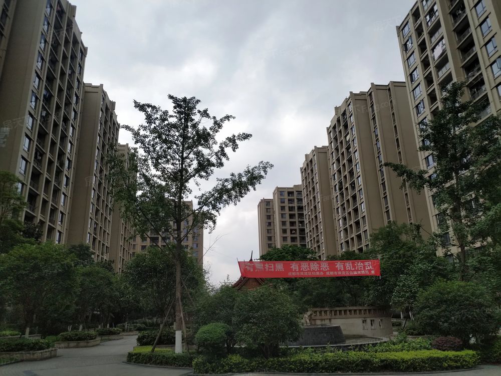 小区相关图