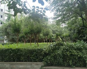 雨竹居3室2厅南北