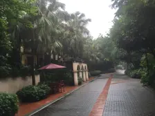 内圈顶跃 挑空大客厅 带大露台 诚心出售