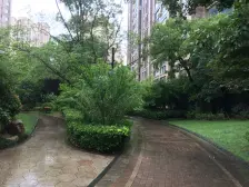 同济城市阳光3室南朝向582.00万元/套出售