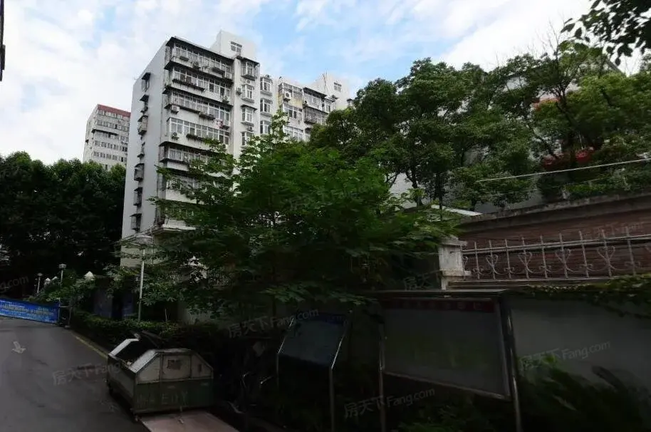 实景图