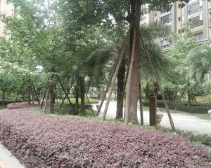 金座威尼谷3室2厅南