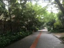 协信品质小区,户型方正,采光好,绿化好