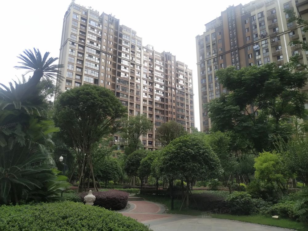 小区相关图