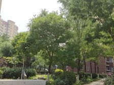 草桥 花乡 两居 地铁19号线新发地站 满五年