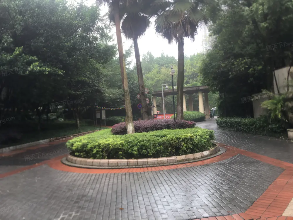 实景图