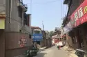 大柳行头村实景图