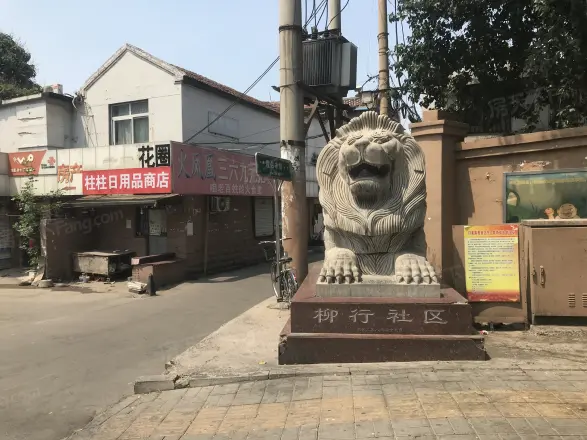 大柳行头村实景图