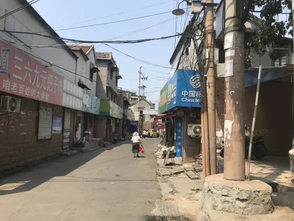 大柳行头村实景图