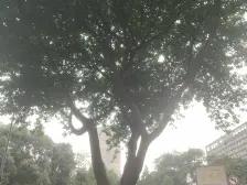 类清水大三房,小龙坎轻轨站楼上,随时看房