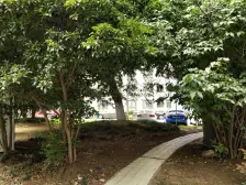 无抵押 电梯房 满五,业主诚意