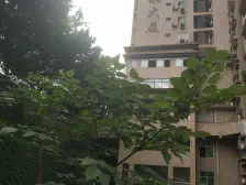 小龙坎 华宇龙泉大厦三房96万