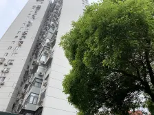 96年电梯房,内环内环境好,楼道干净,朝南采光充足