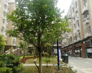 葱店胡同2号院2室1厅南北