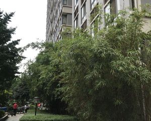 卡斯摩广场2室1厅西