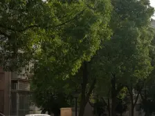 大三房,低总价,低单价,一手动迁,免增值税,诚心卖