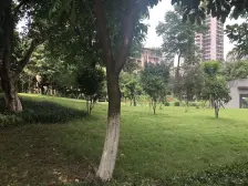 万象城商圈精装一房 业主诚心出售 朝小区中庭