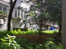 百汇大厦 2室1厅 西南 东