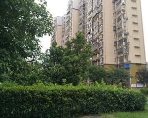 朝阳新城隆泰苑户型方正,采光好中间楼层