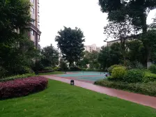 龙洲湾 华宇龙湾七房368万