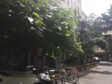 曲阳·上农新村·1室·0厅