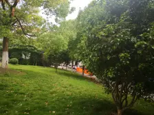 欣兰苑 3室2厅 南 北