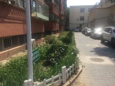 新德街大客厅带窗户三居室南北通透