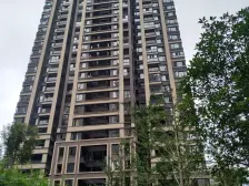 盘龙 鲁能九龙花园三房110万