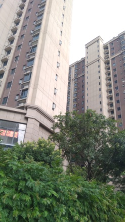碧桂园智慧家实景图